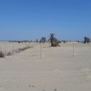 Terreno en Venta en Pisco Paracas