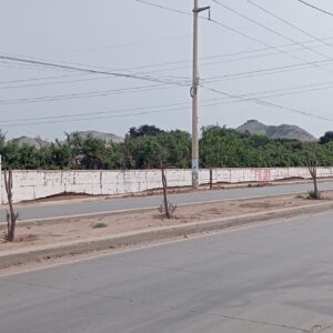 Ocasión: Venta de Terreno en Pachacámac