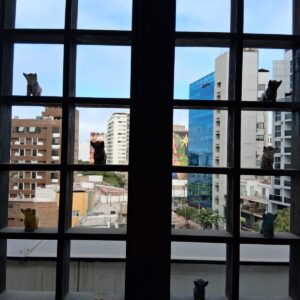 Alquiler o Venta de Edificio en Miraflores