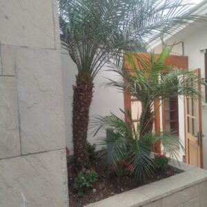 Camacho La Molina residencia de 1,100 m2 en alquiler